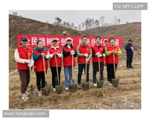 南京排球队的力量变革引发热议展现新时代竞技精神与团队合作的魅力 南京排球队的力量变革引发热议展现新时代竞技精神与团队合作的魅力