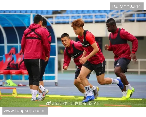 北京排球队团队协作引发热议球迷对战术配合和球员默契的不同看法 北京排球队团队协作引发热议球迷对战术配合和球员默契的不同看法