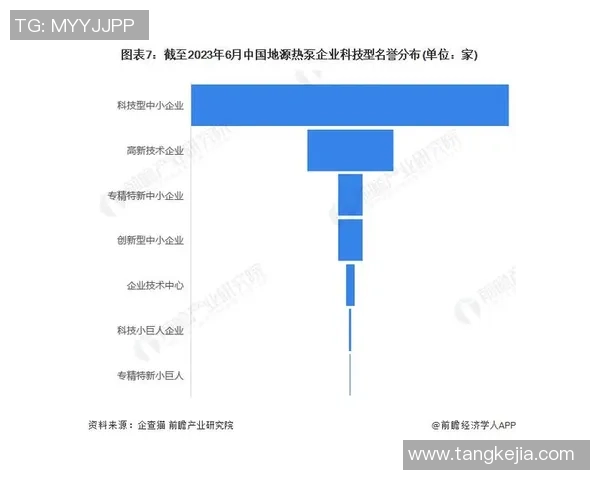 深圳排球队总决赛技术分析与表现评估全景解读