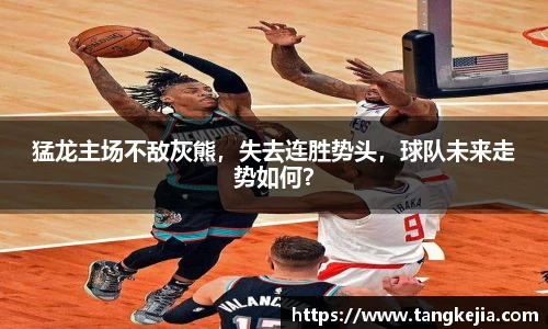 emc易倍体育官方网站
