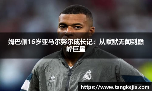 emc易倍官网