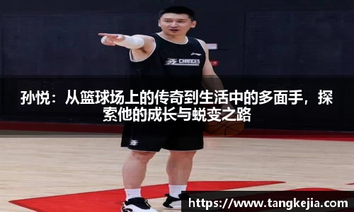 emc易倍官网