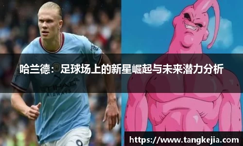 emc易倍