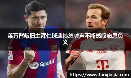 emc易倍官网