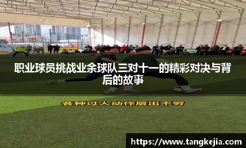 emc易倍体育官方网站