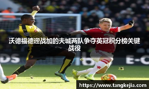 emc易倍体育