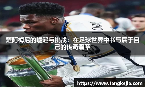emc易倍体育官方网站