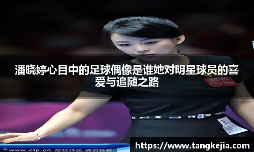 emc易倍
