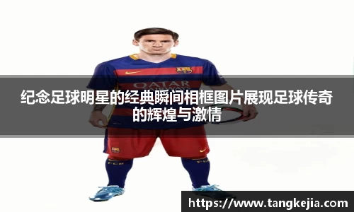 emc易倍体育官方网站