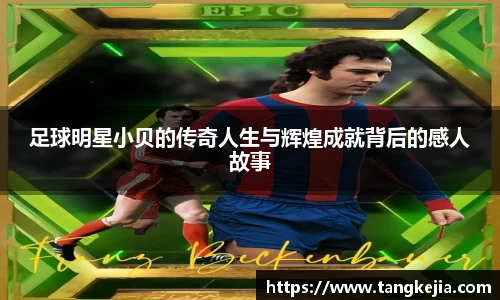 emc易倍体育官方网站